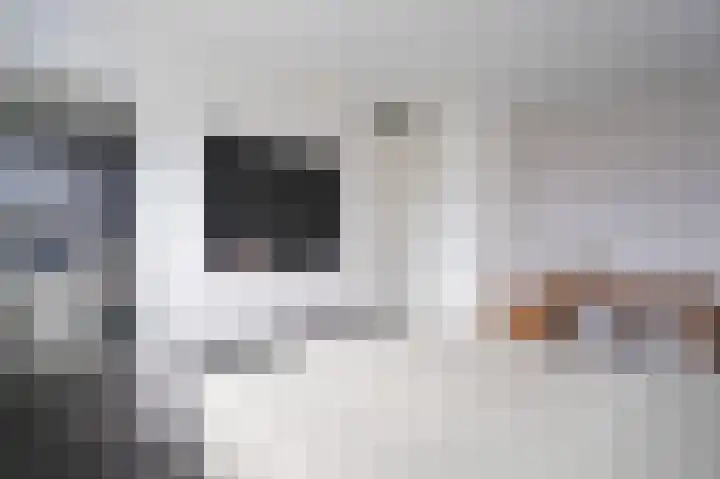 Karekietstraat 3 Schelluinen thumbnail 15
