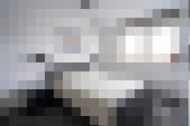 Karekietstraat 3 Schelluinen thumbnail 16