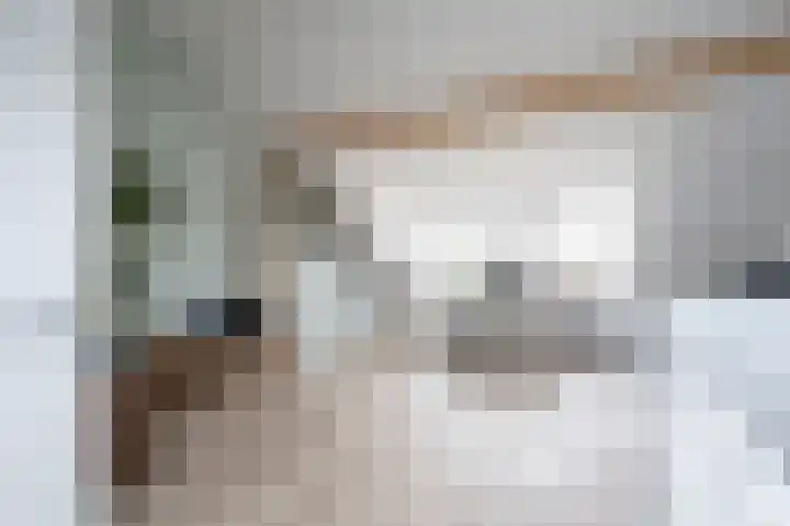 Karekietstraat 3 Schelluinen thumbnail 22