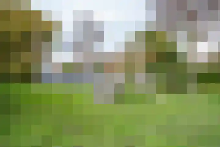 Karekietstraat 3 Schelluinen thumbnail 27