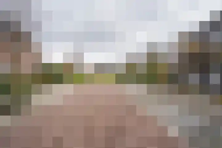 Karekietstraat 3 Schelluinen thumbnail 28
