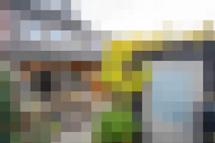 Karekietstraat 3 Schelluinen thumbnail 4