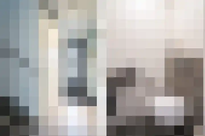 Karekietstraat 3 Schelluinen thumbnail 6