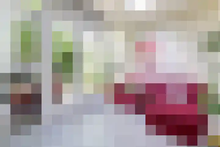 Karekietstraat 31 Gouda thumbnail 11