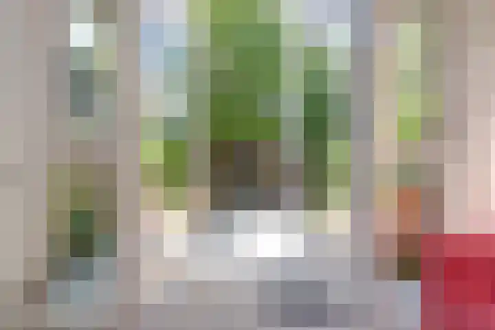 Karekietstraat 31 Gouda thumbnail 13