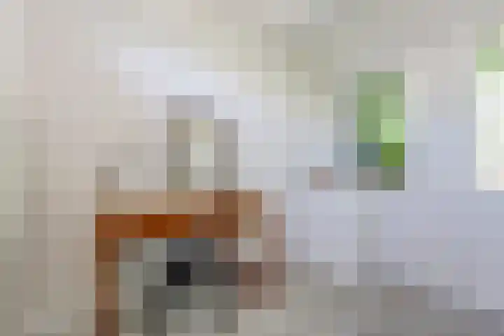 Karekietstraat 31 Gouda thumbnail 17