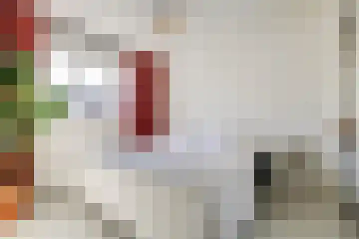 Karekietstraat 31 Gouda thumbnail 19