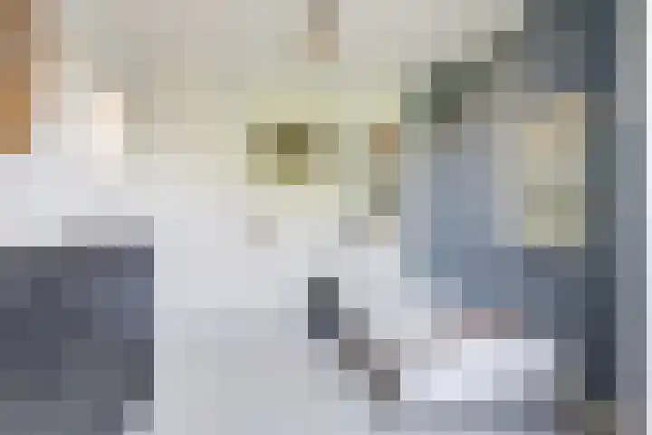 Karekietstraat 31 Gouda thumbnail 22