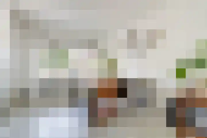 Karekietstraat 31 Gouda thumbnail 5