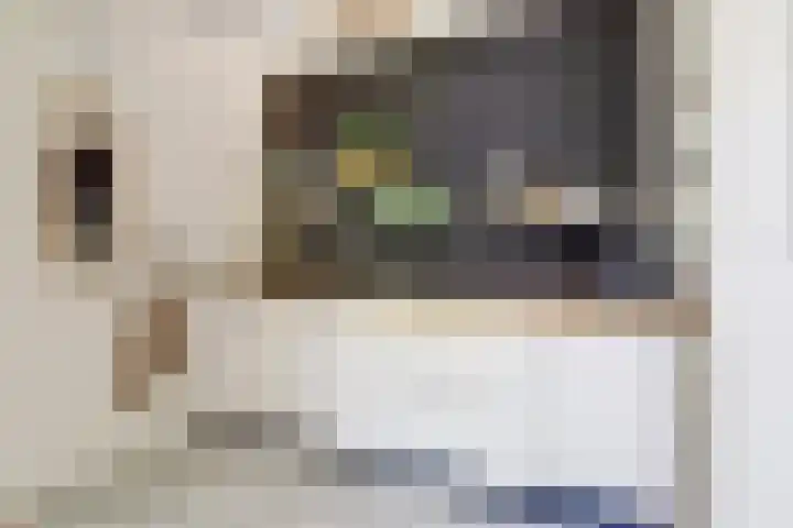 Karekietstraat 31 Gouda thumbnail 8