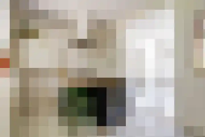 Karekietstraat 31 Gouda thumbnail 9