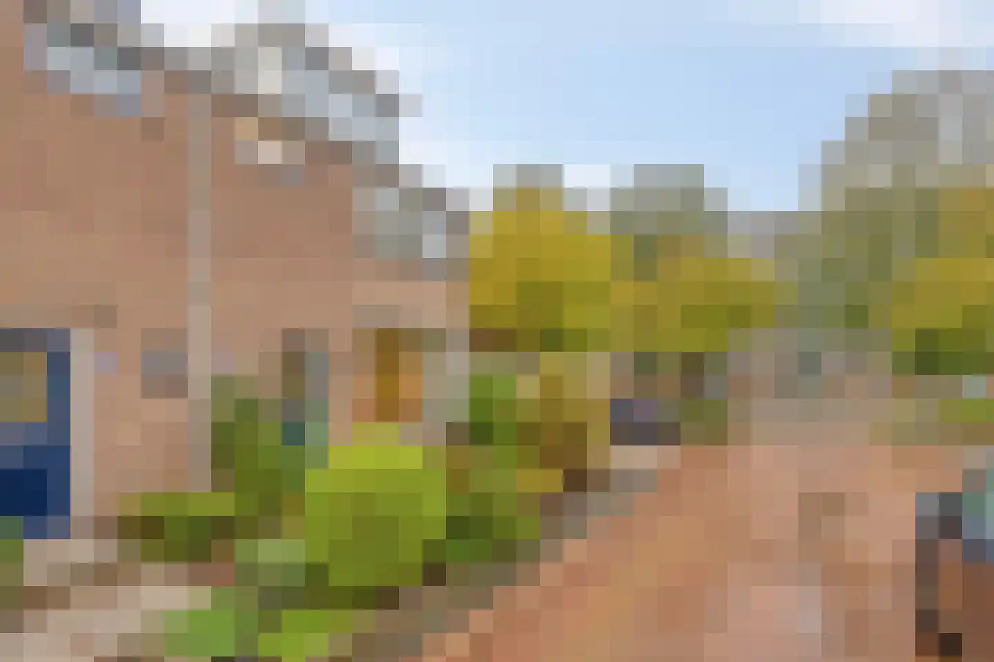 Karekietstraat 32 Maassluis thumbnail 13