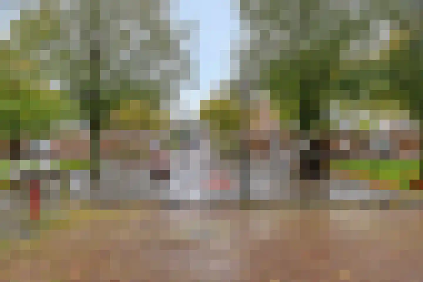 Karekietstraat 32 Maassluis thumbnail 38