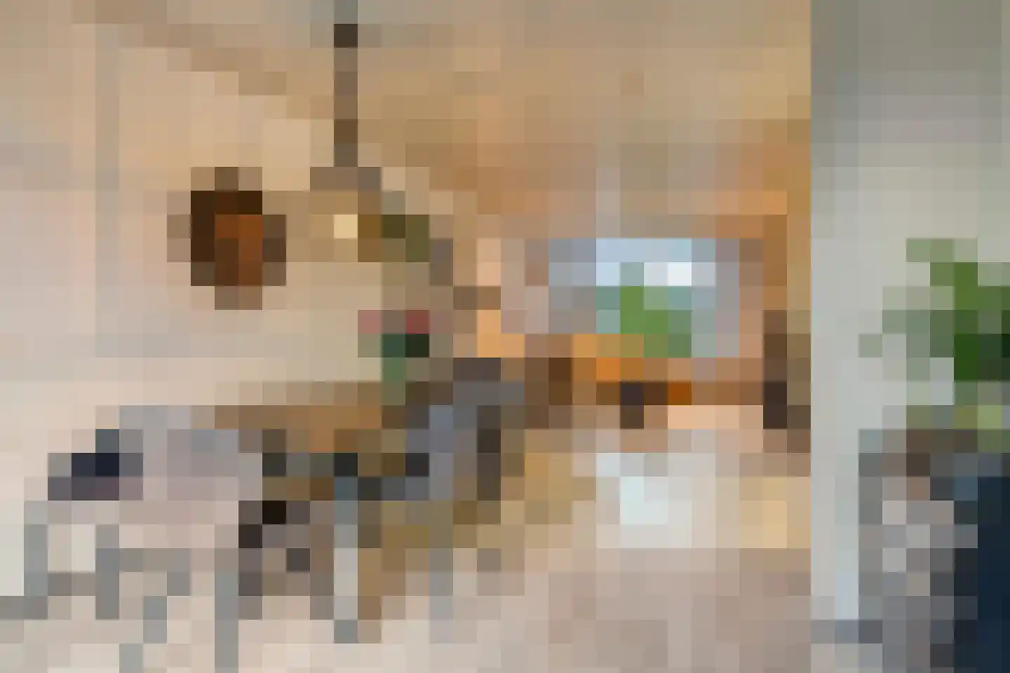Karekietstraat 32 Maassluis thumbnail 6