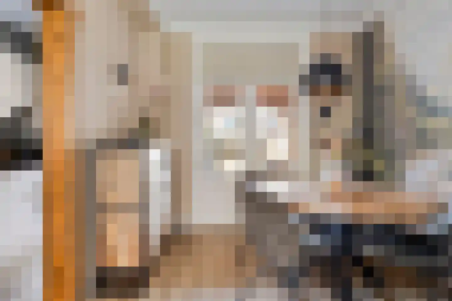 Karekietstraat 35 Gouda thumbnail 13