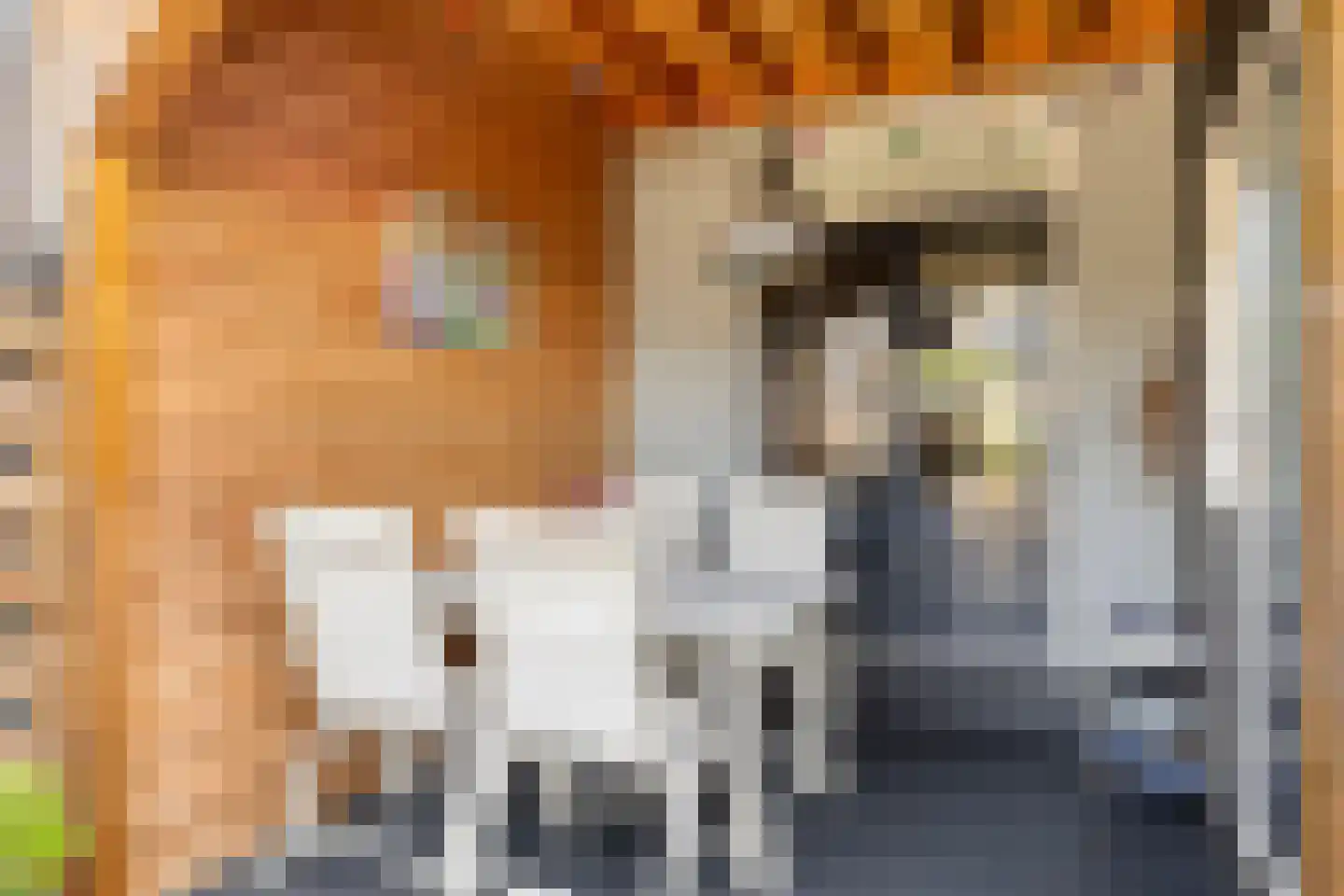 Karekietstraat 35 Gouda thumbnail 18