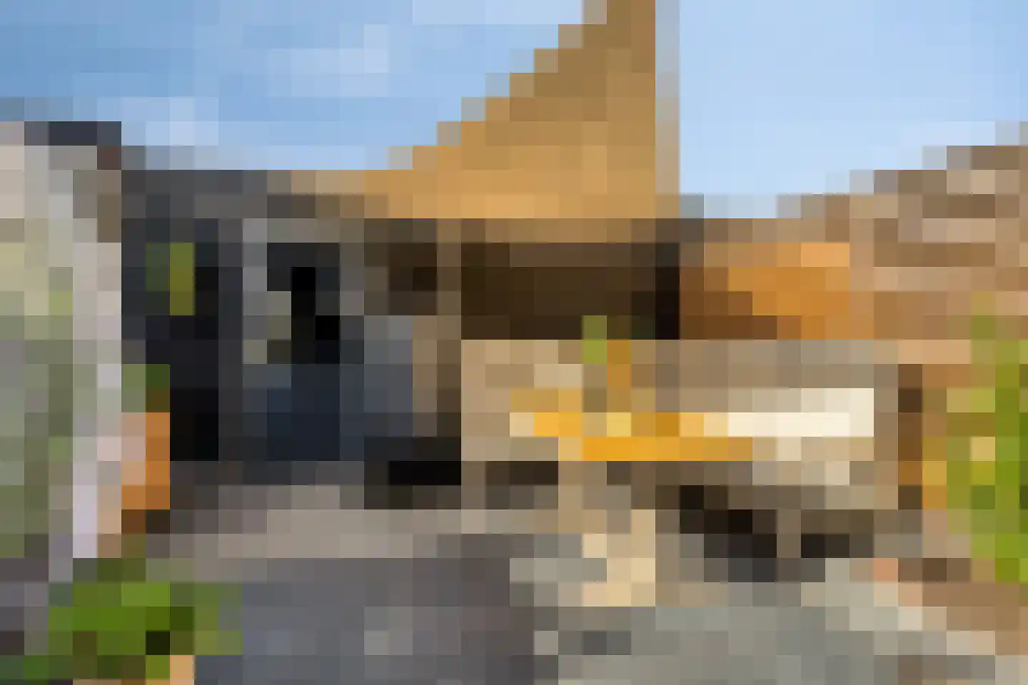Karekietstraat 35 Gouda thumbnail 20