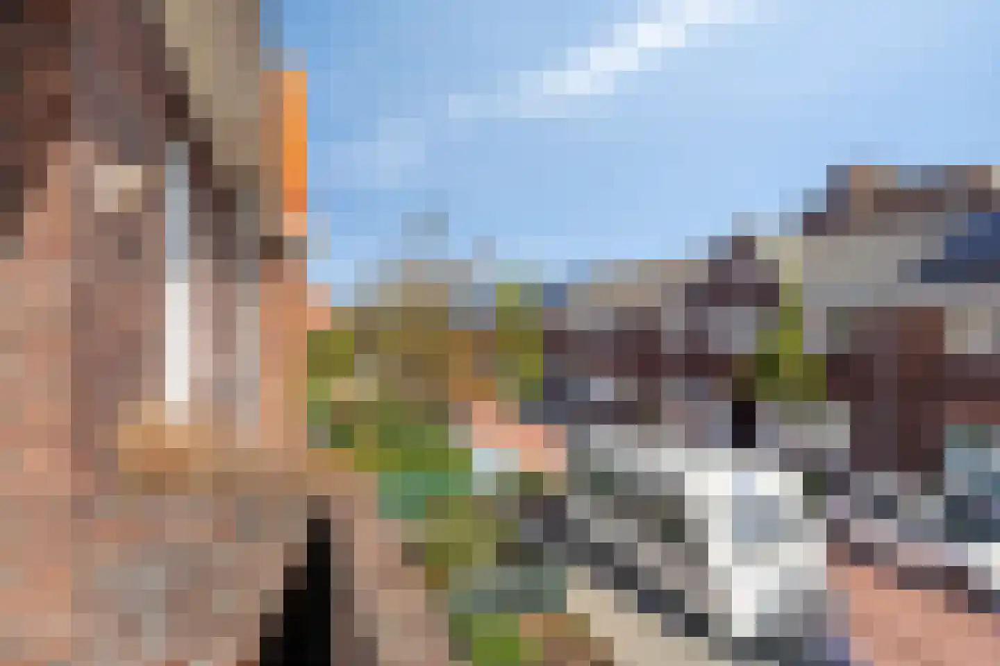 Karekietstraat 35 Gouda thumbnail 26