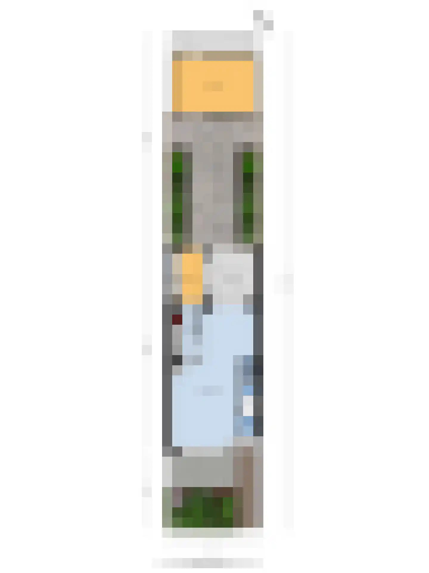 Karekietstraat 35 Gouda thumbnail 39