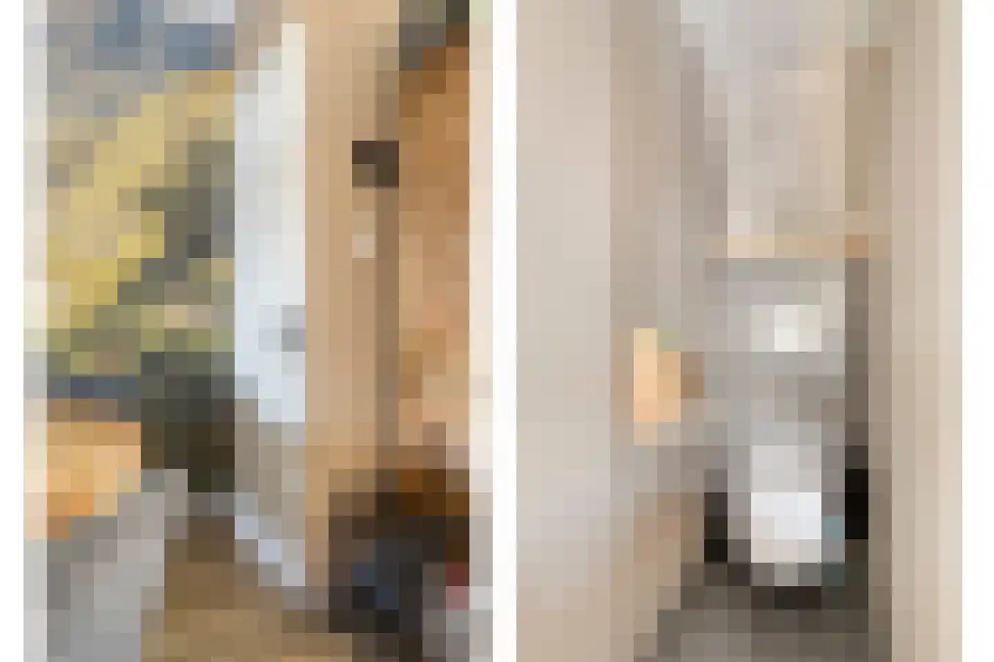 Karekietstraat 35 Gouda thumbnail 8