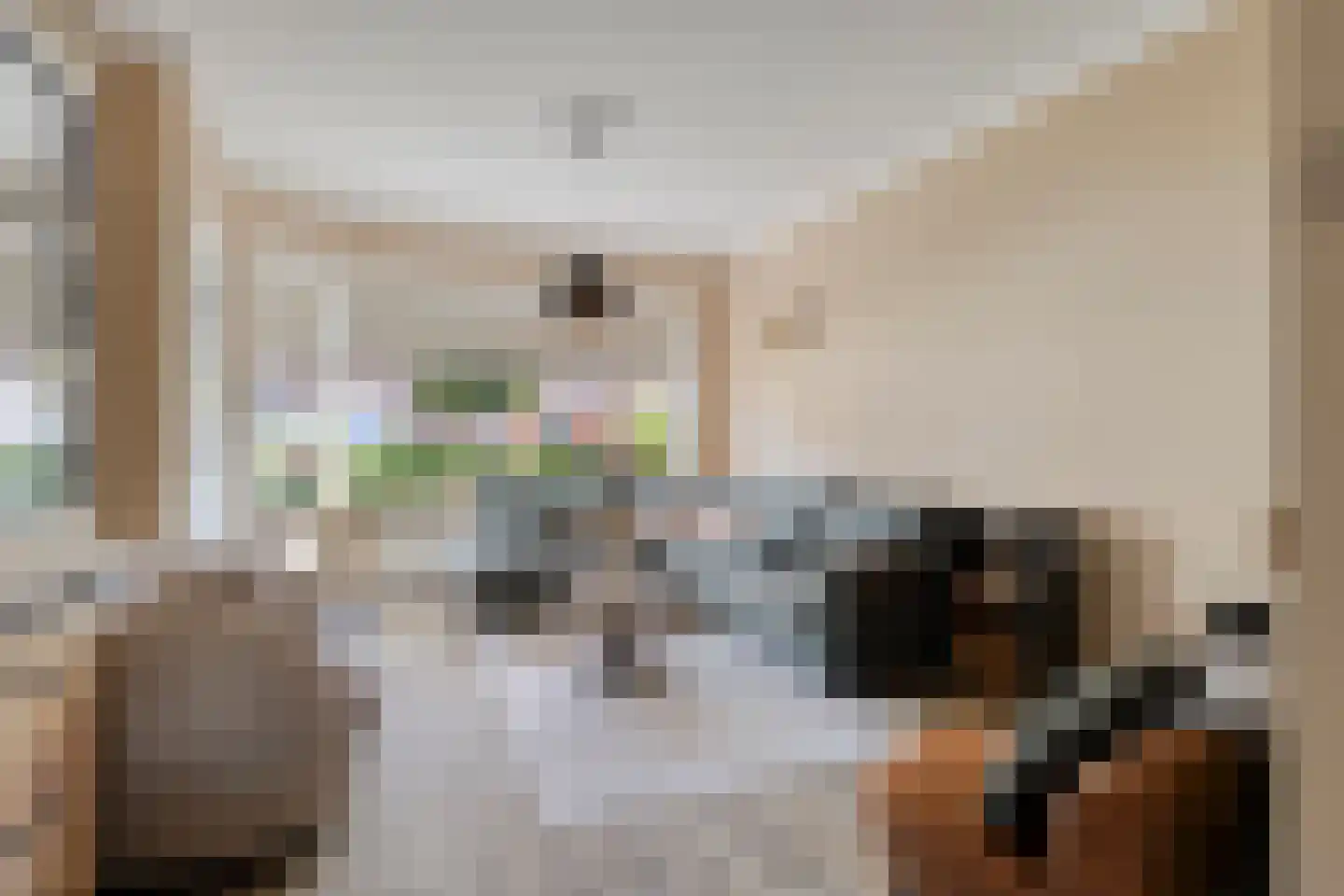 Karekietstraat 35 Gouda thumbnail 9