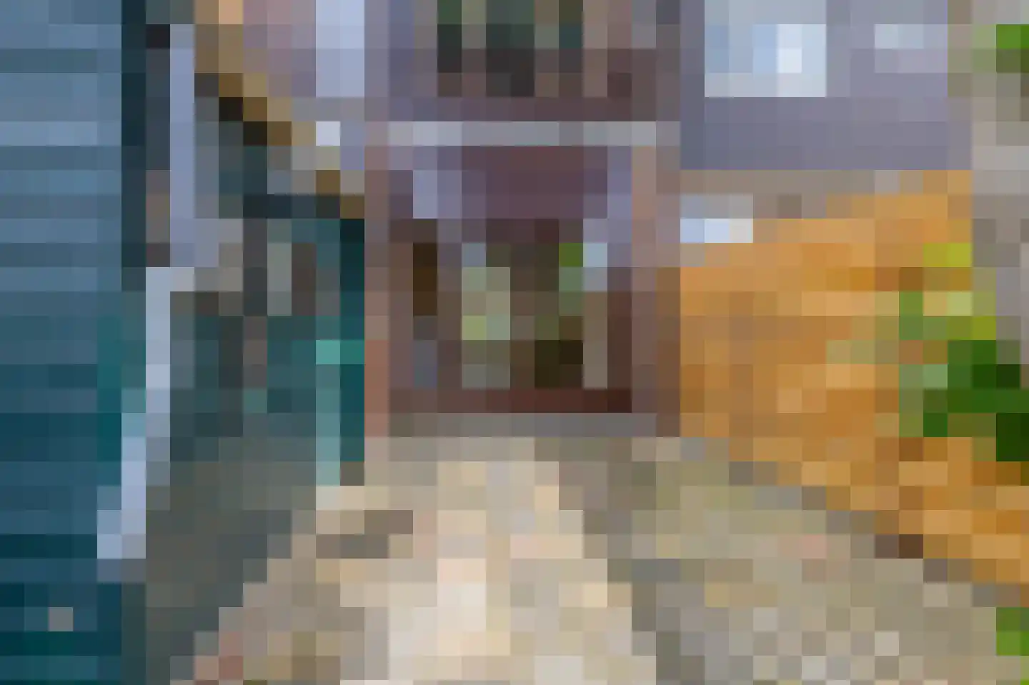 Karekietstraat 39 Gouda thumbnail 15