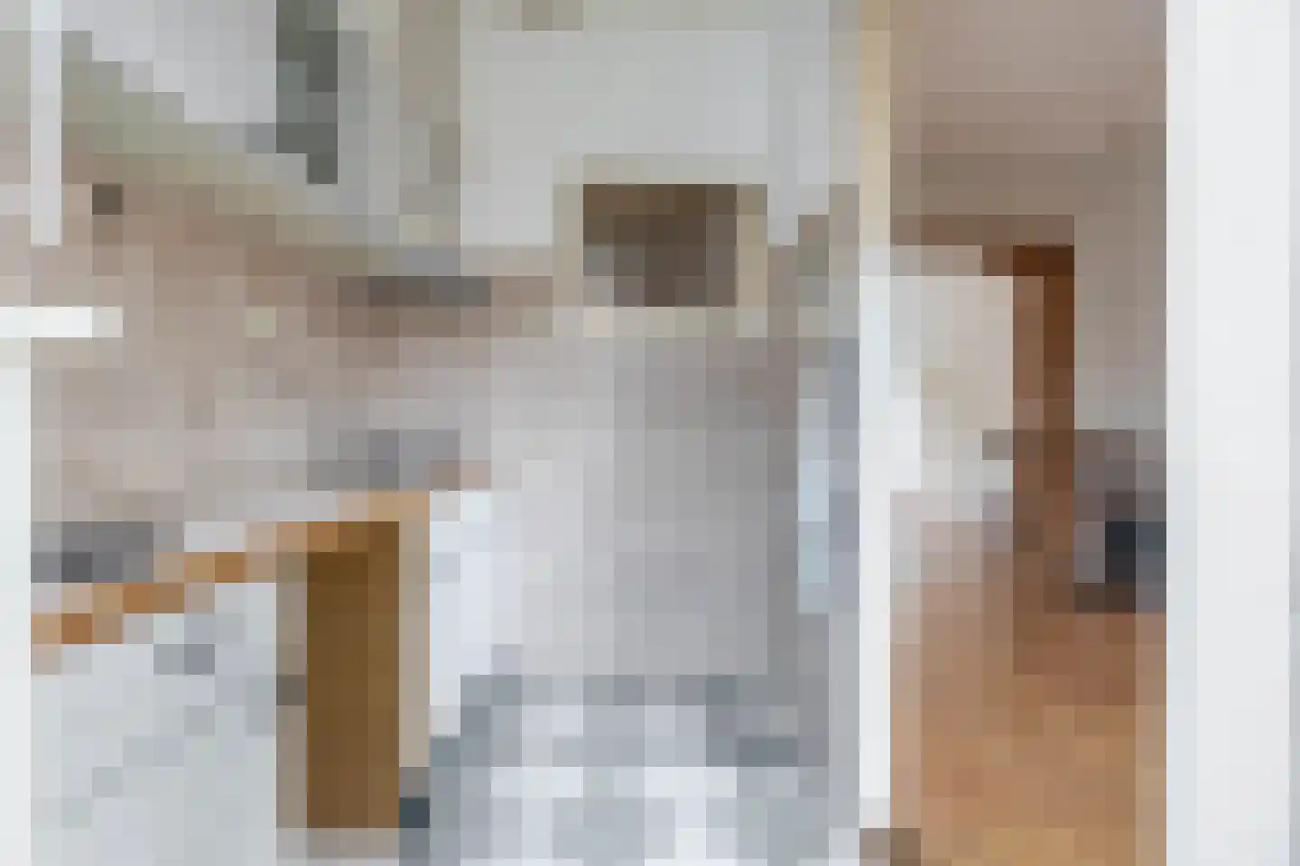 Karekietstraat 39 Gouda thumbnail 4