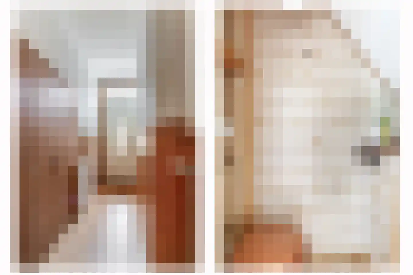Karekietstraat 39 Gouda thumbnail 8