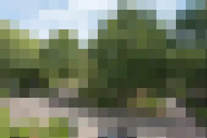 Karekietstraat 4 Aalsmeer thumbnail 16