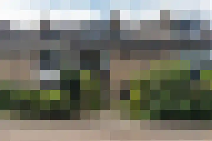 Karekietstraat 4 Aalsmeer thumbnail 24