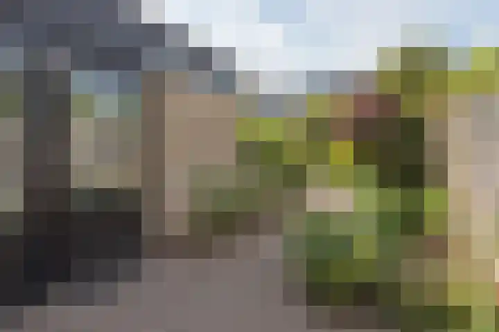 Karekietstraat 4 Aalsmeer thumbnail 4
