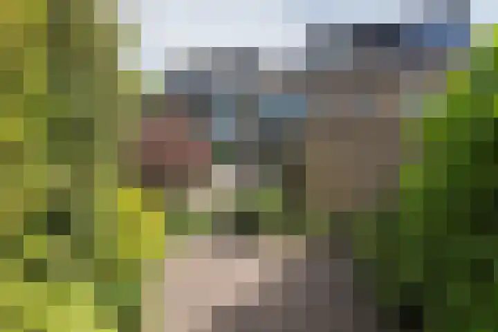 Karekietstraat 4 Aalsmeer thumbnail 5
