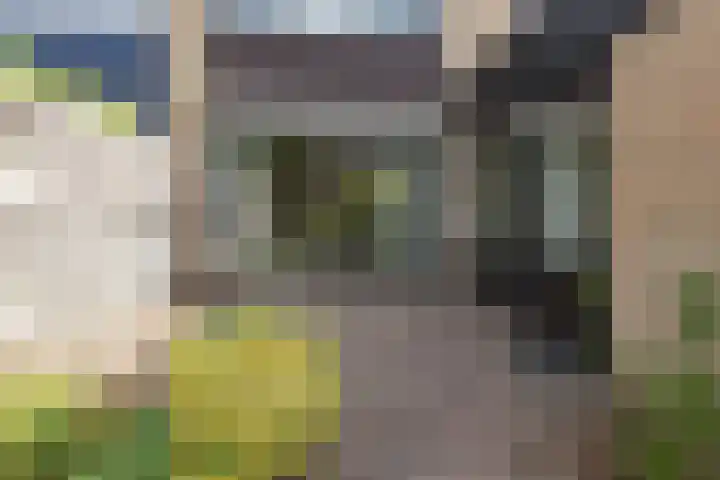 Karekietstraat 4 Aalsmeer thumbnail 6