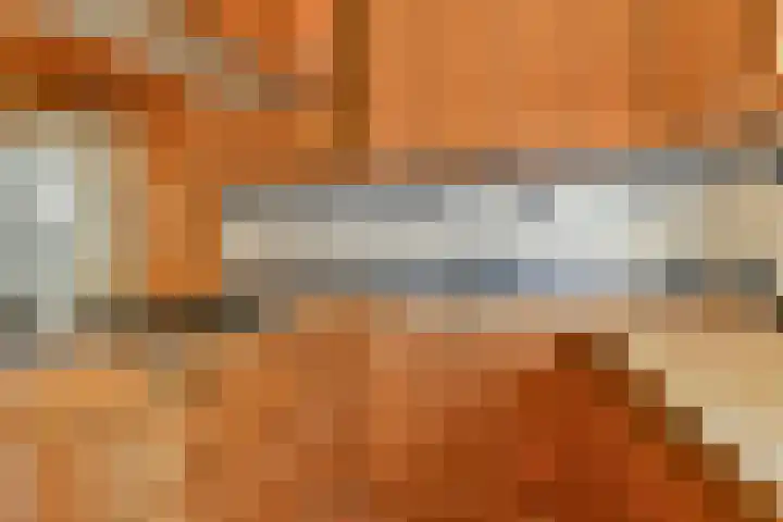 Karekietstraat 42 Gouda thumbnail 10