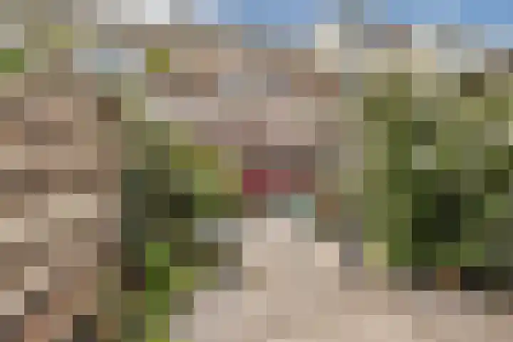 Karekietstraat 42 Gouda thumbnail 4