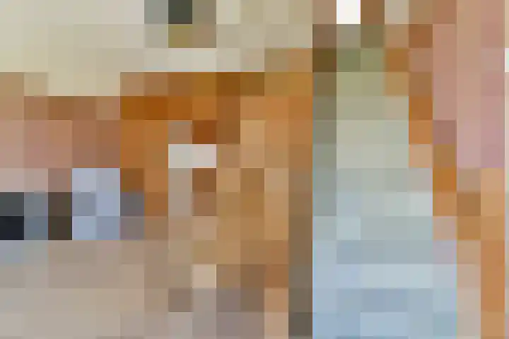 Karekietstraat 42 Gouda thumbnail 8