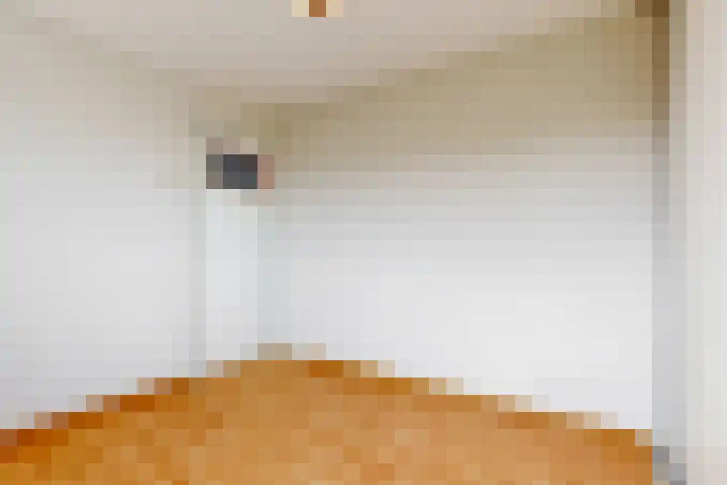 Karekietstraat 44 Maassluis thumbnail 23