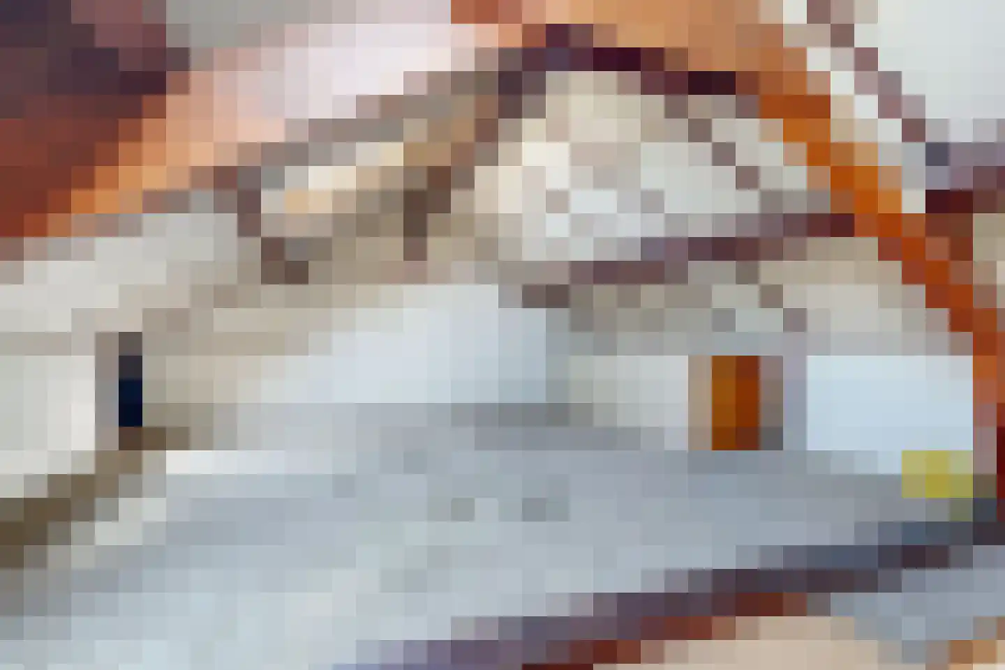 Karekietstraat 44 Maassluis thumbnail 27