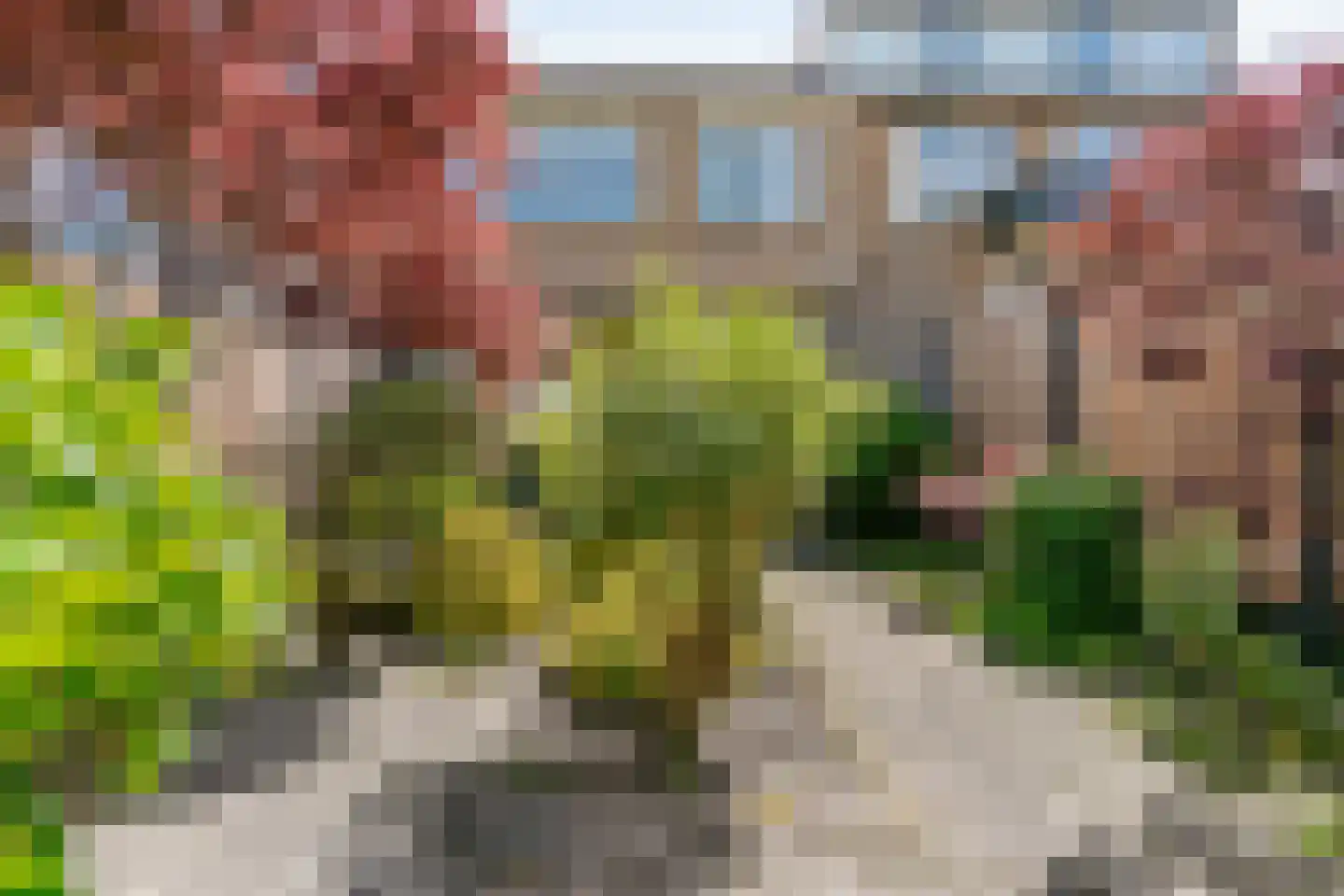 Karekietstraat 44 Maassluis thumbnail 32