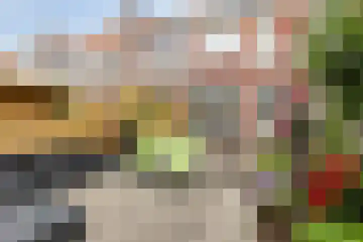 Karekietstraat 49 Gouda thumbnail 4