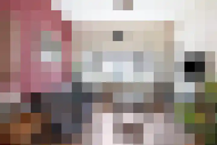 Karekietstraat 49 Gouda thumbnail 8