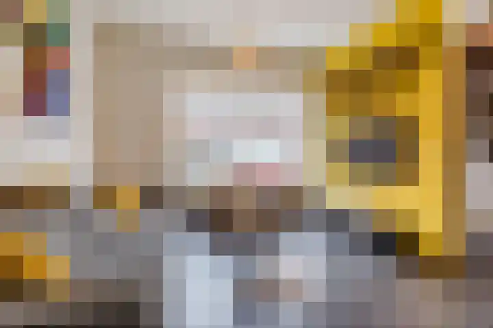 Karekietstraat 6 Gouda thumbnail 12
