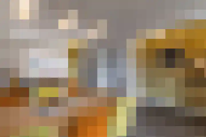Karekietstraat 6 Gouda thumbnail 17
