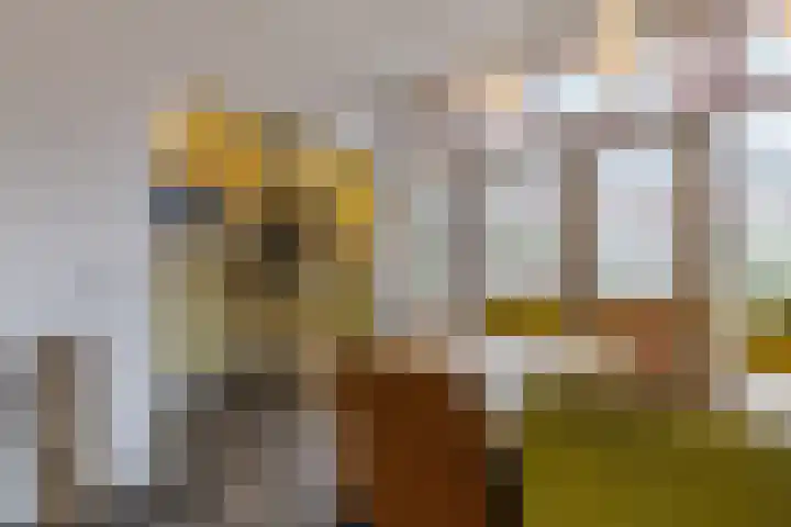 Karekietstraat 6 Gouda thumbnail 19