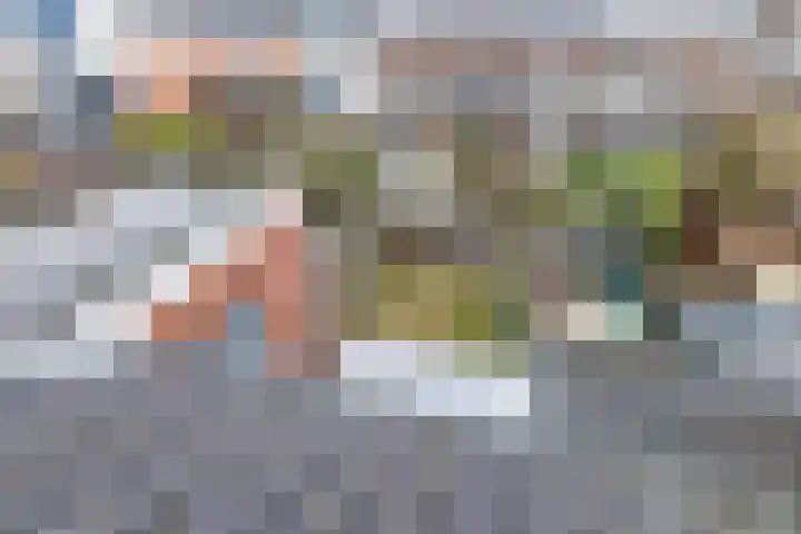 Karekietstraat 6 Gouda thumbnail 29