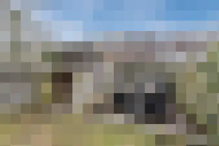 Karekietstraat 6 Gouda thumbnail 32
