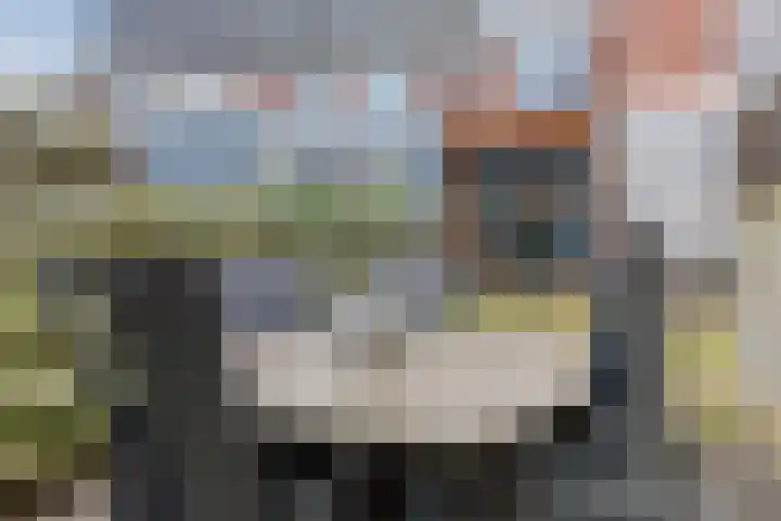 Karekietstraat 6 Gouda thumbnail 33