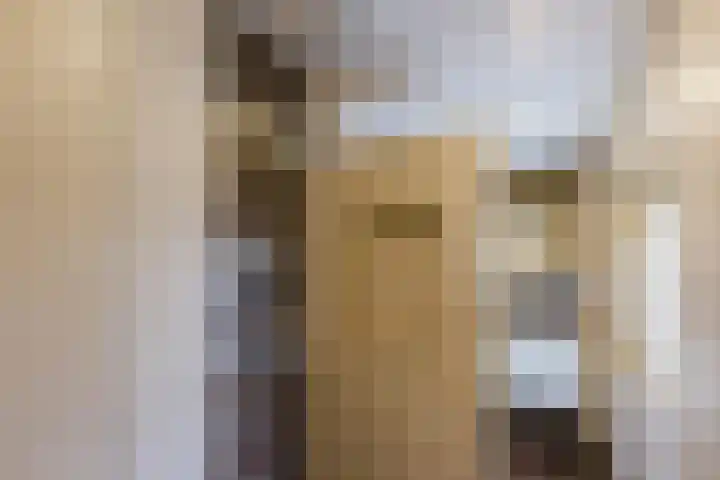 Karekietstraat 6 Gouda thumbnail 4