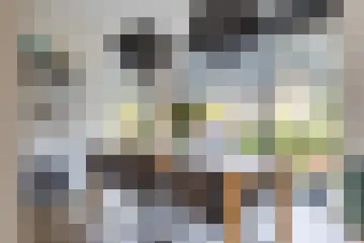 Karekietstraat 6 Heerhugowaard thumbnail 11