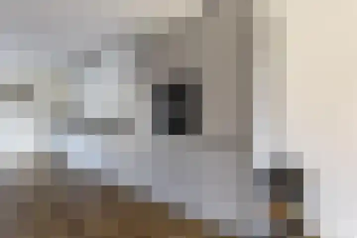 Karekietstraat 6 Heerhugowaard thumbnail 13